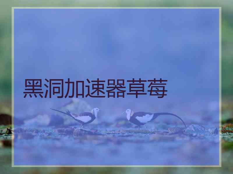 黑洞加速器草莓