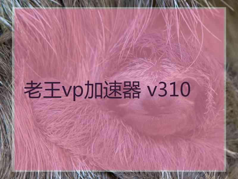老王vp加速器 v310