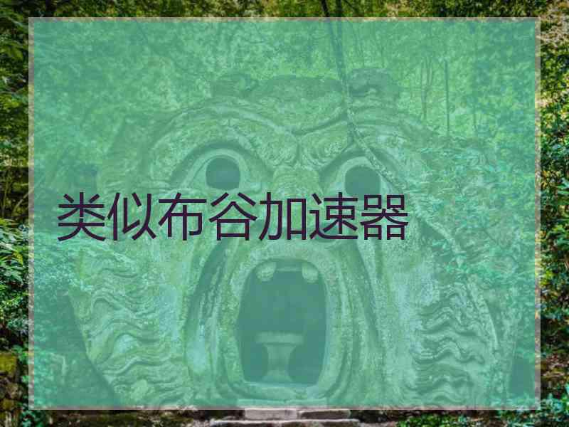 类似布谷加速器