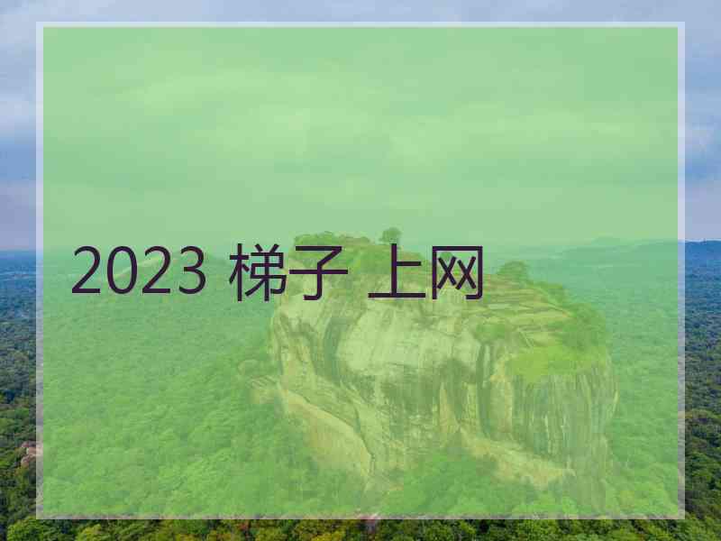 2023 梯子 上网