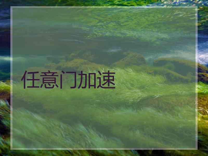 任意门加速