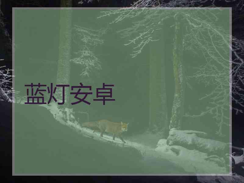蓝灯安卓