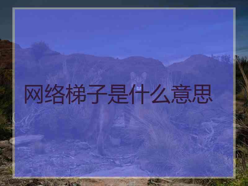 网络梯子是什么意思