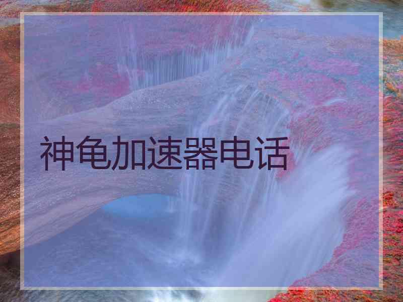 神龟加速器电话