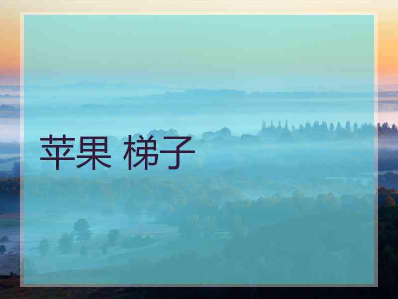 苹果 梯子