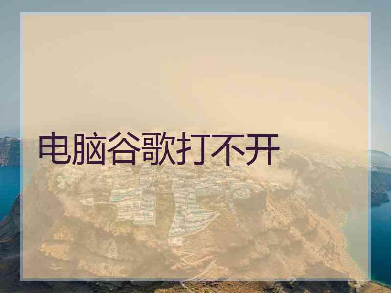 电脑谷歌打不开