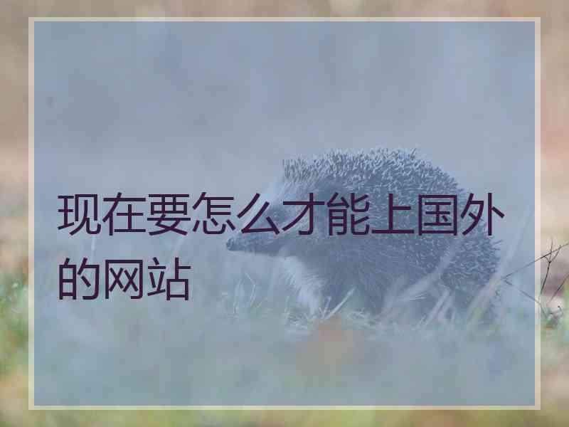 现在要怎么才能上国外的网站