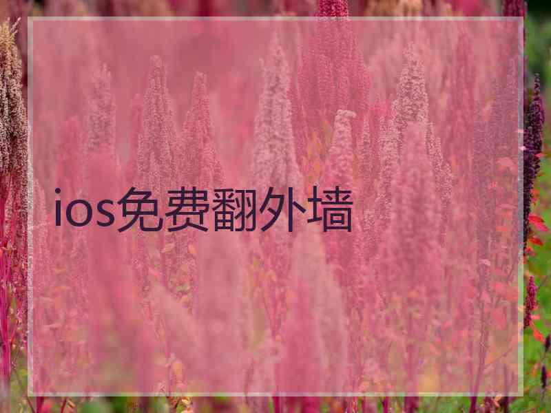 ios免费翻外墙