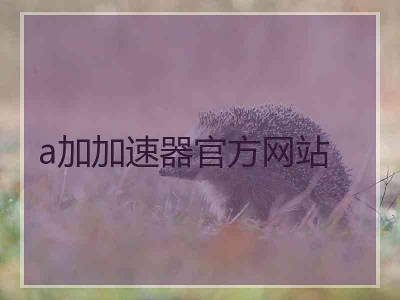 a加加速器官方网站
