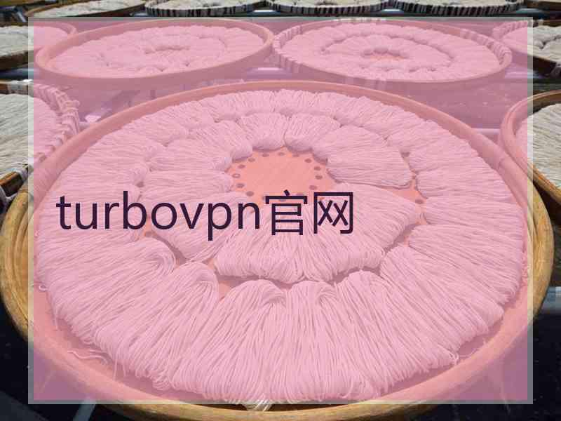 turbovpn官网