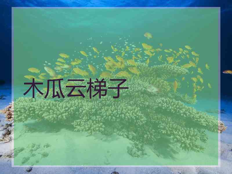 木瓜云梯子