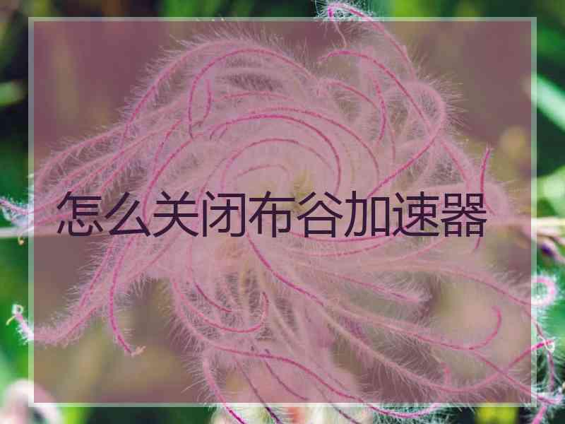 怎么关闭布谷加速器
