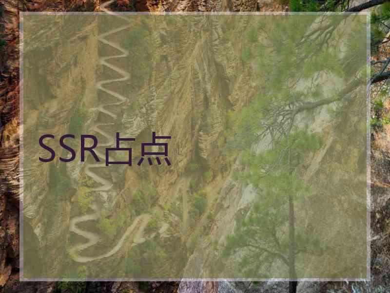 SSR占点