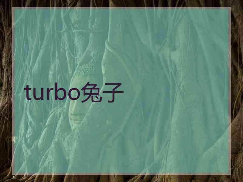 turbo兔子