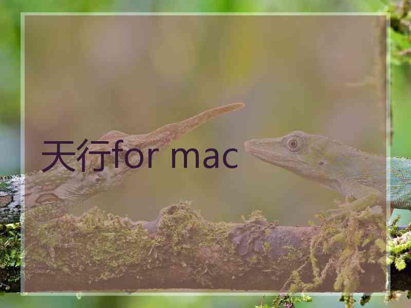 天行for mac