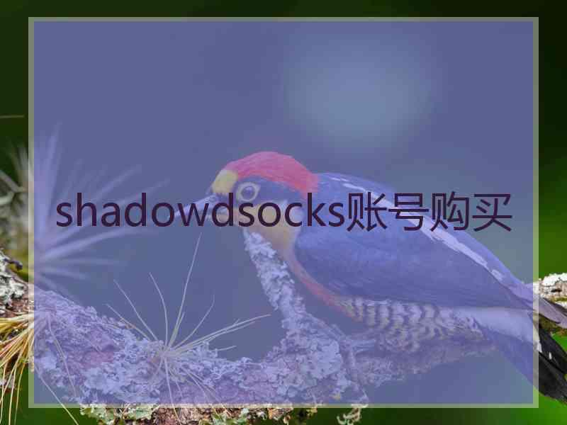 shadowdsocks账号购买