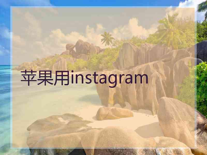 苹果用instagram