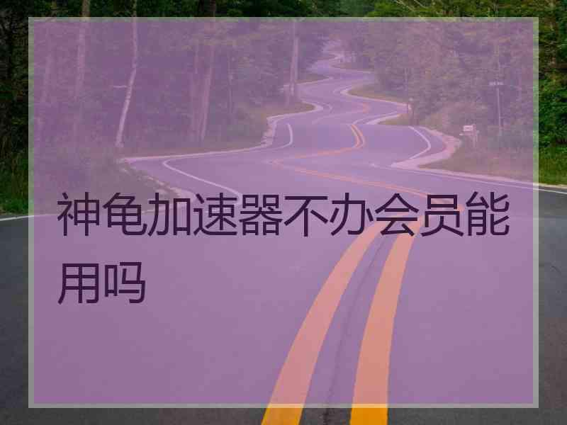 神龟加速器不办会员能用吗