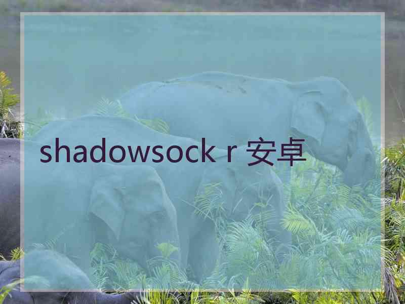 shadowsock r 安卓
