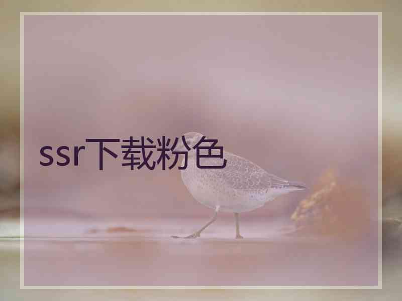 ssr下载粉色