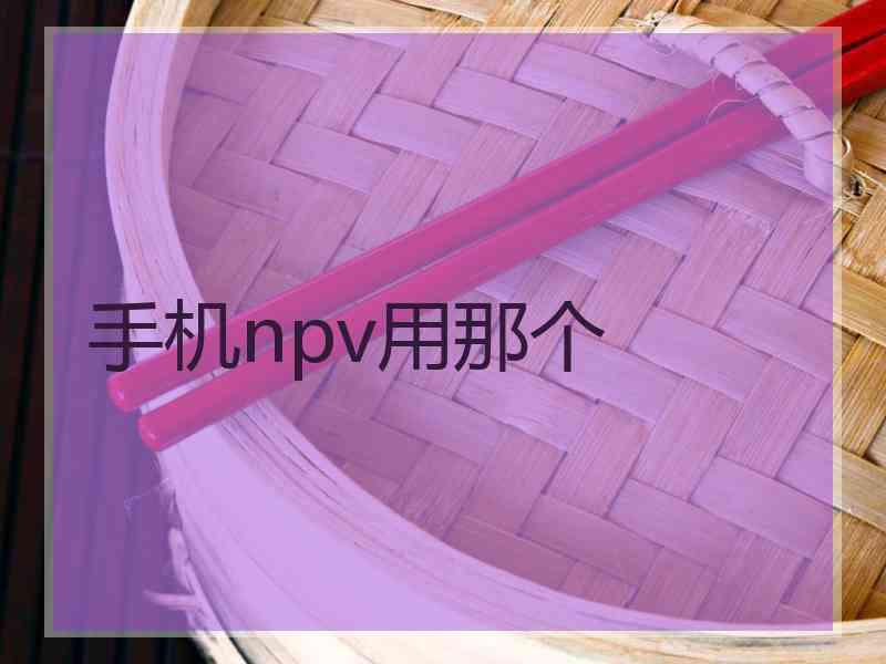 手机npv用那个