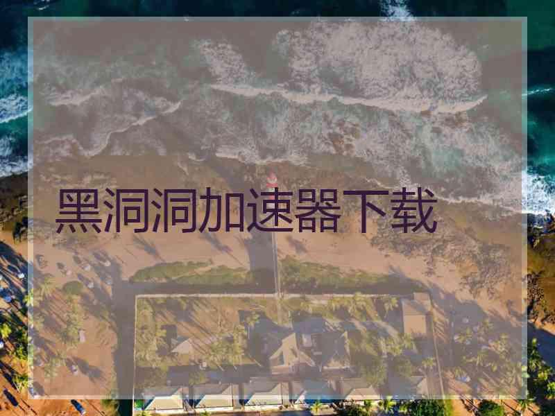 黑洞洞加速器下载