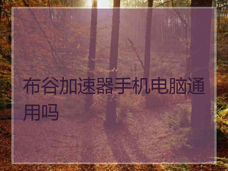 布谷加速器手机电脑通用吗