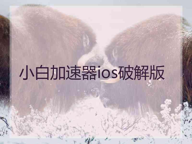 小白加速器ios破解版