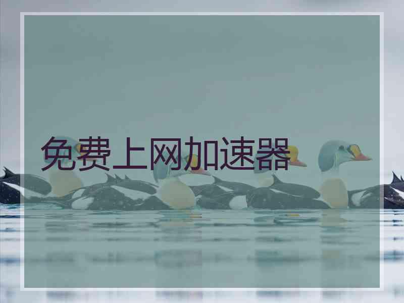 免费上网加速器