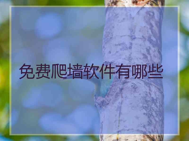 免费爬墙软件有哪些
