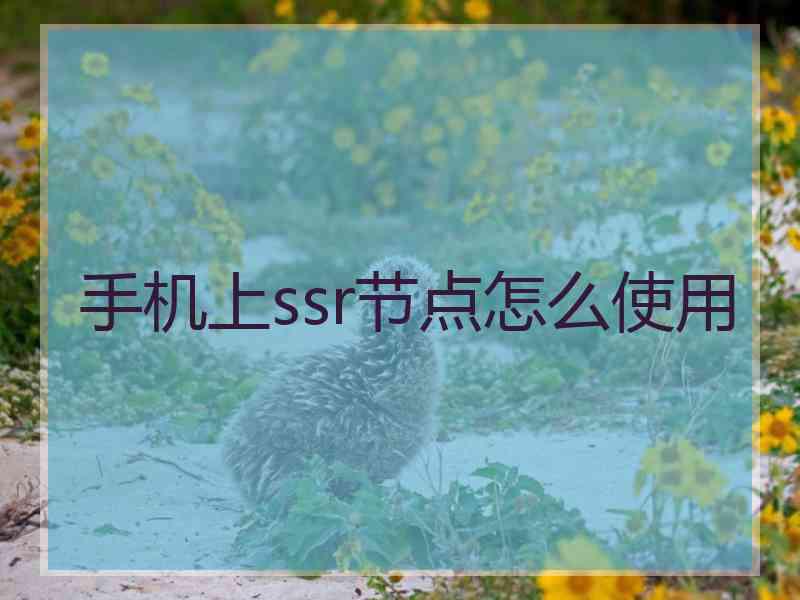 手机上ssr节点怎么使用