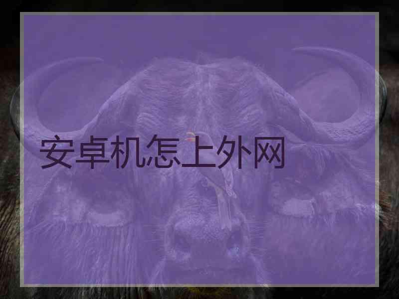安卓机怎上外网