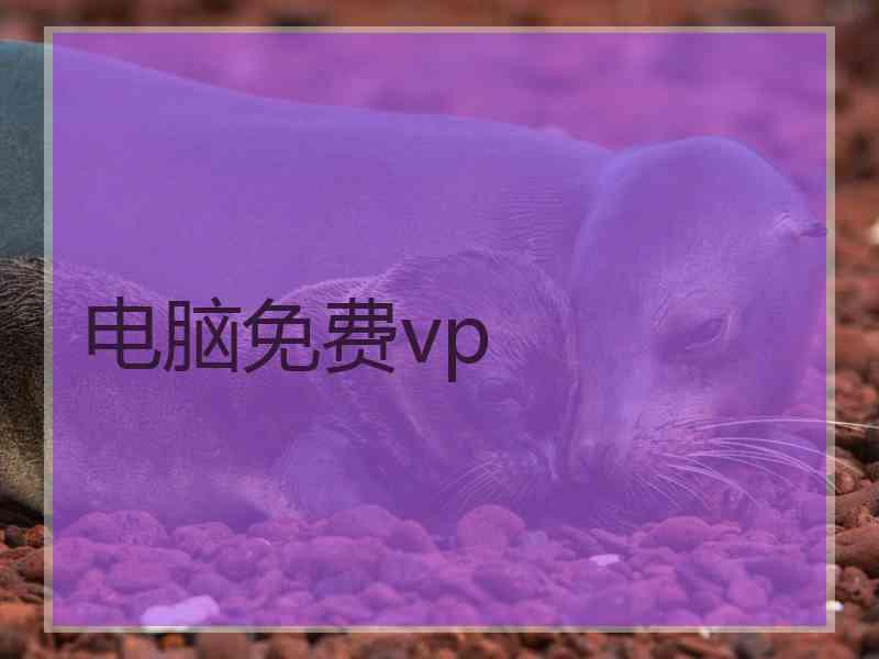 电脑免费vp