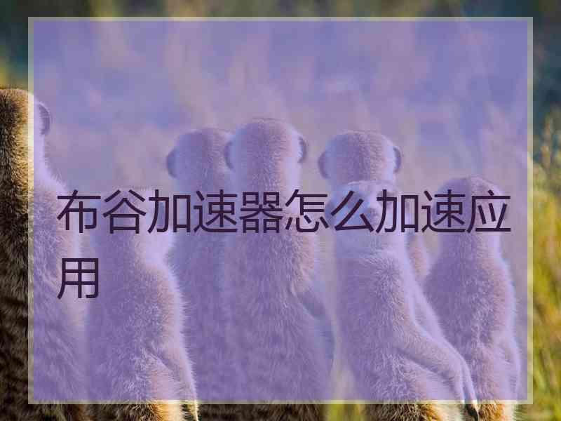 布谷加速器怎么加速应用