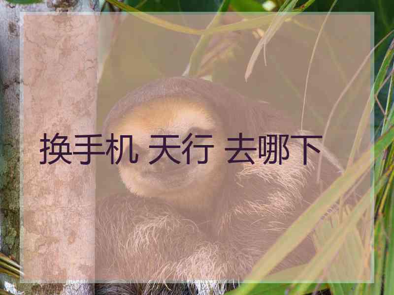 换手机 天行 去哪下