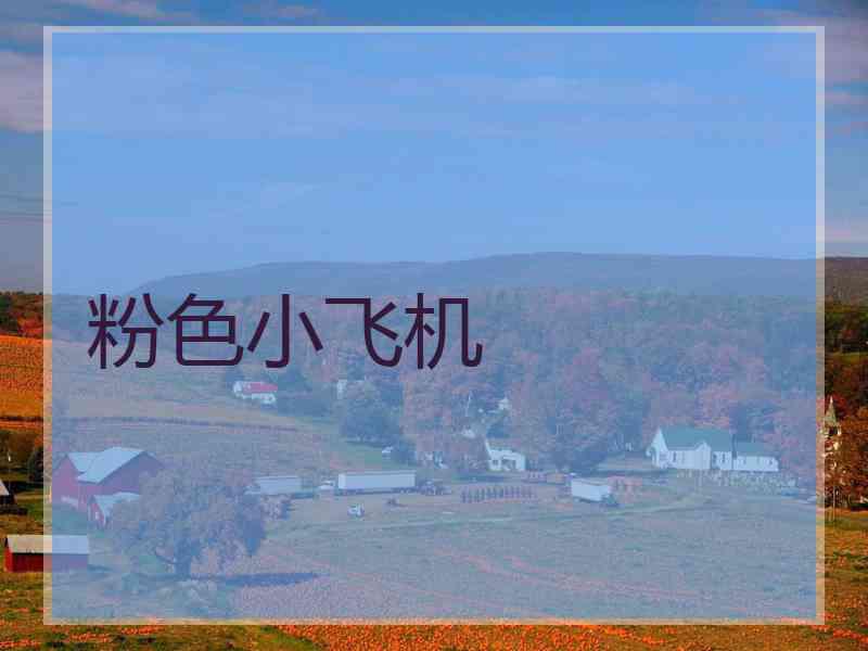 粉色小飞机
