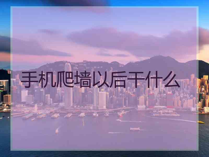 手机爬墙以后干什么