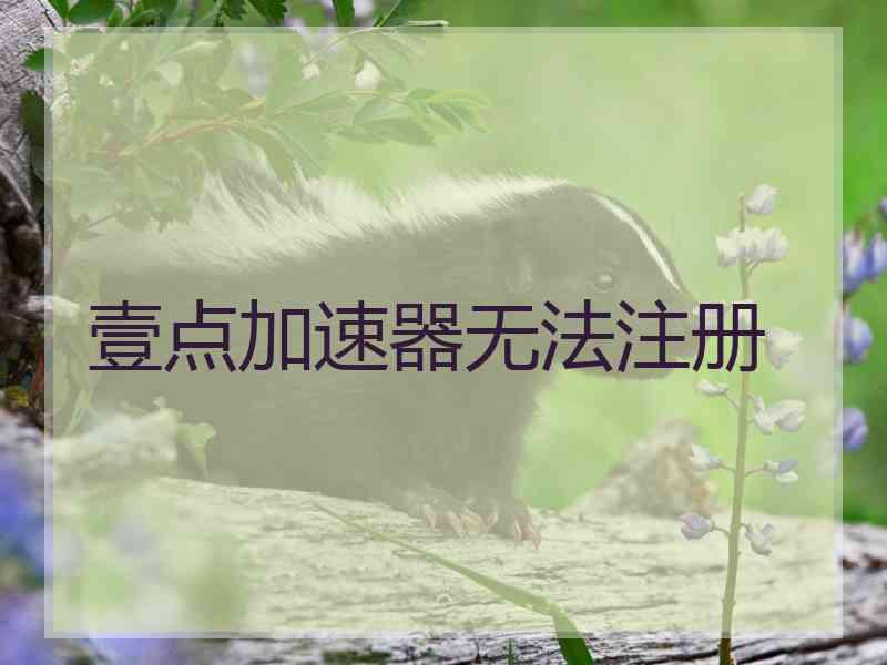 壹点加速器无法注册