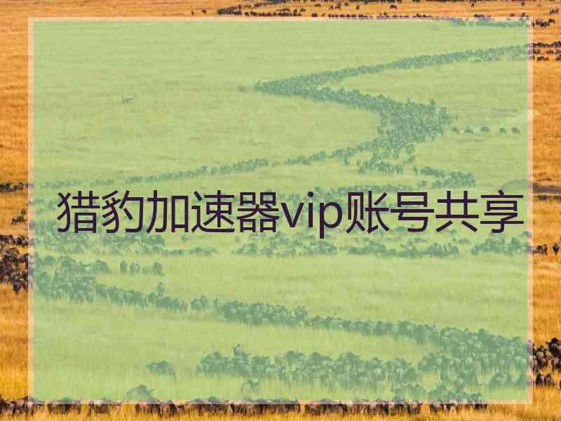 猎豹加速器vip账号共享