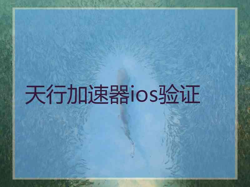 天行加速器ios验证