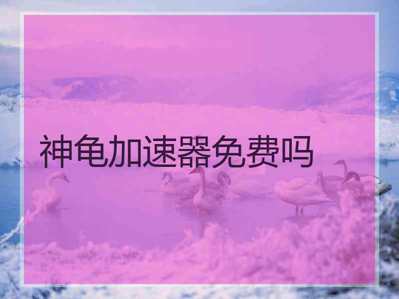 神龟加速器免费吗