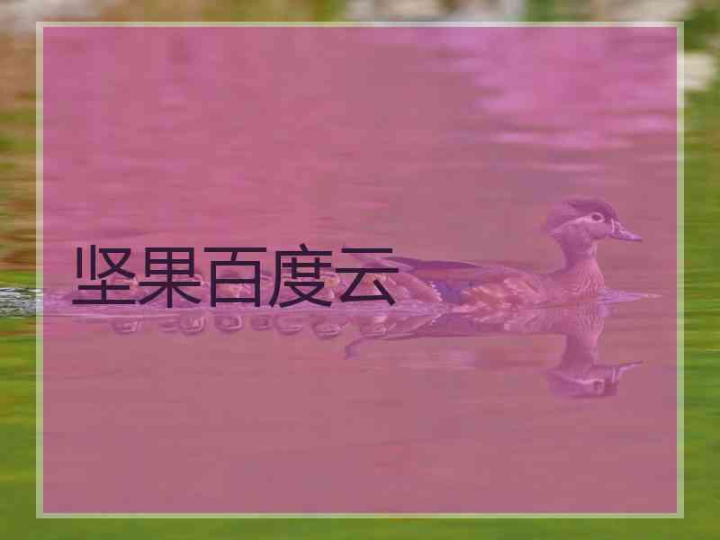 坚果百度云