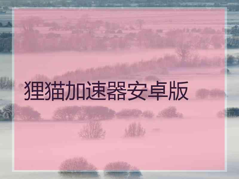 狸猫加速器安卓版