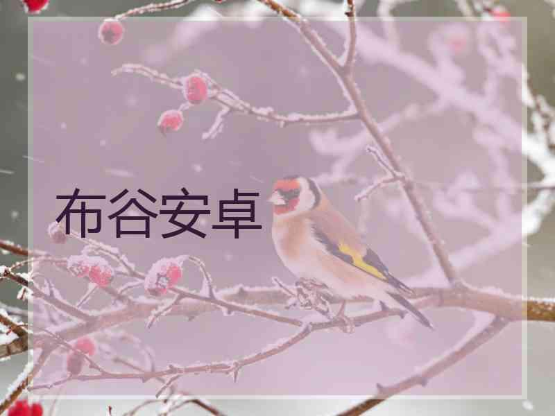 布谷安卓
