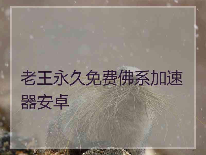 老王永久免费佛系加速器安卓