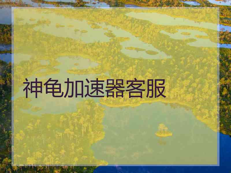 神龟加速器客服