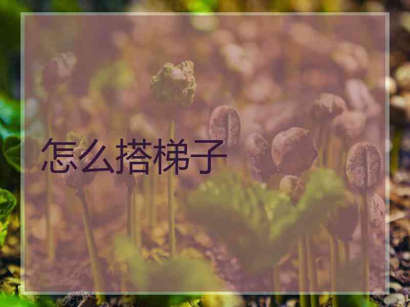 怎么搭梯子