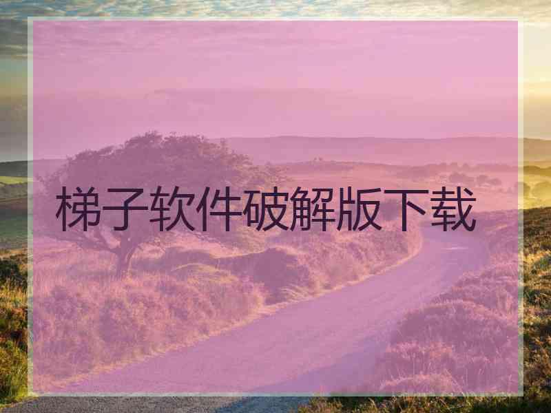 梯子软件破解版下载