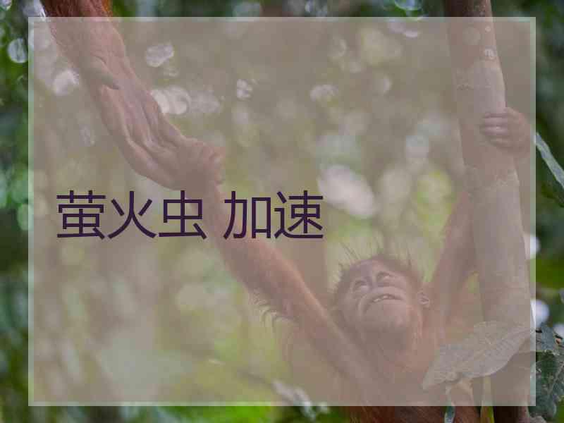 萤火虫 加速