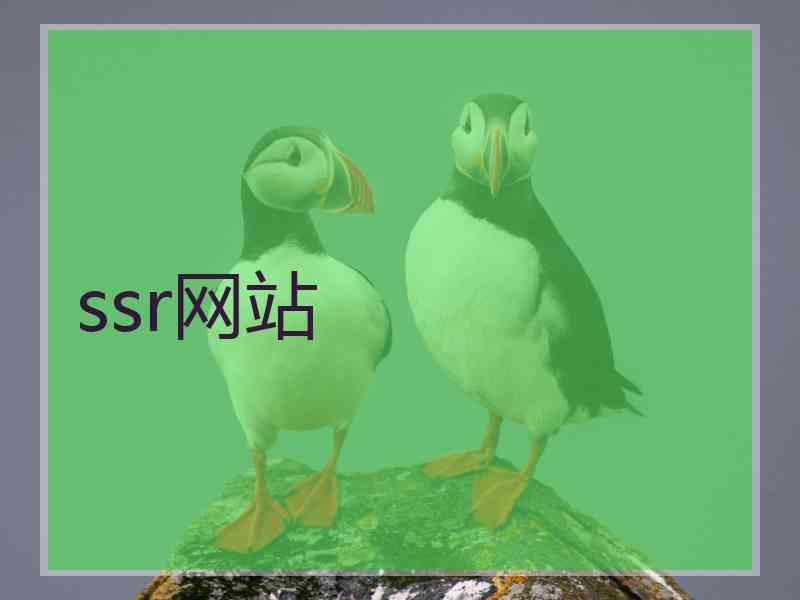 ssr网站